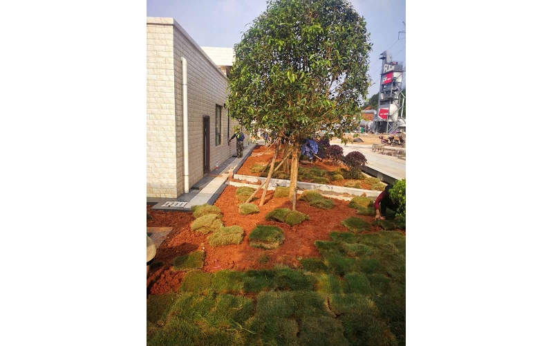 湖南華苑園林為韶山萬豪混凝土材料有限公司打造宜人廠區園林綠化